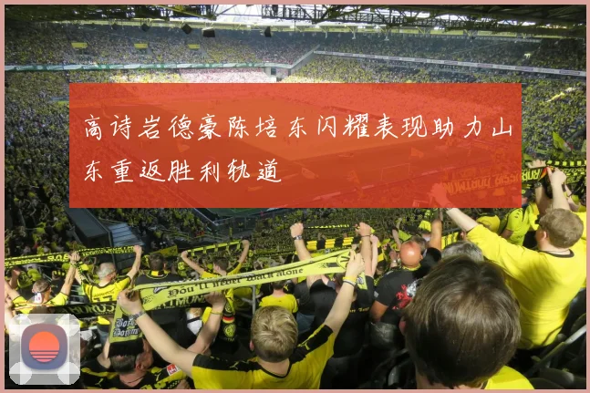 高诗岩德豪陈培东闪耀表现助力山东重返胜利轨道